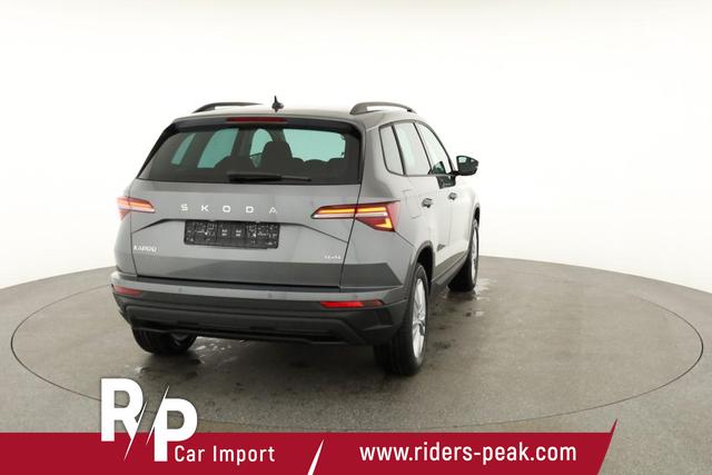 Skoda Karoq Selection 4x4 2.0 TDI DSG Selection, AHK, LED, Kamera, Winter, 4 J.-Garantie 
