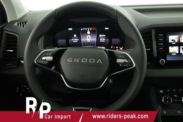 Skoda Karoq Selection 4x4 2.0 TDI DSG Selection, AHK, LED, Kamera, Winter, 4 J.-Garantie 