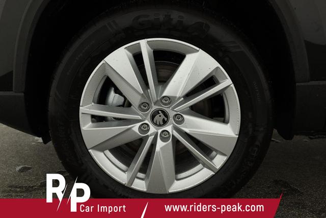 Skoda Karoq Selection 4x4 2.0 TDI DSG Selection, AHK, LED, Kamera, Winter, 4 J.-Garantie 