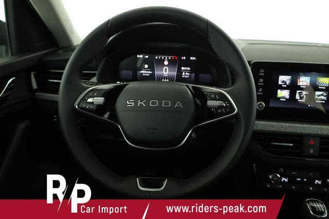 Skoda Kamiq Selection 1.0 TSI Selection, AHK, LED, Kamera, Ladeboden, Winter 