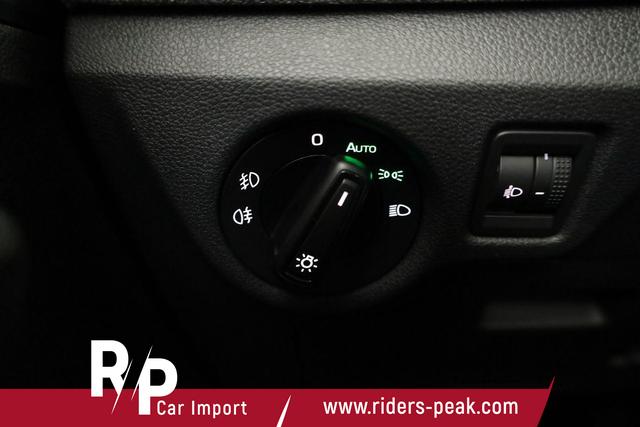 Skoda Kamiq Selection 1.0 TSI Selection, AHK, LED, Kamera, Ladeboden, Winter 