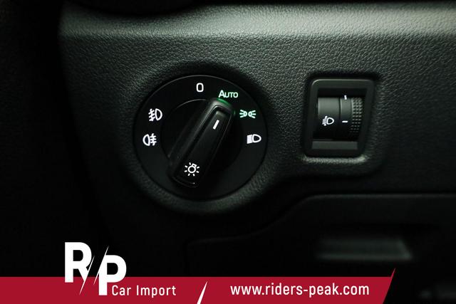 Skoda Fabia Selection 1.0 MPI Selection, Park, Winterpaket, SmartLink, 5 J.-Garantie, sofort 