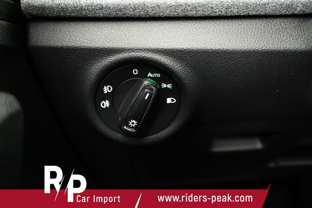 Skoda Kamiq Selection 1.0 TSI DSG Selection, AHK, Matrix, Kamera, Ladeboden, Winter 