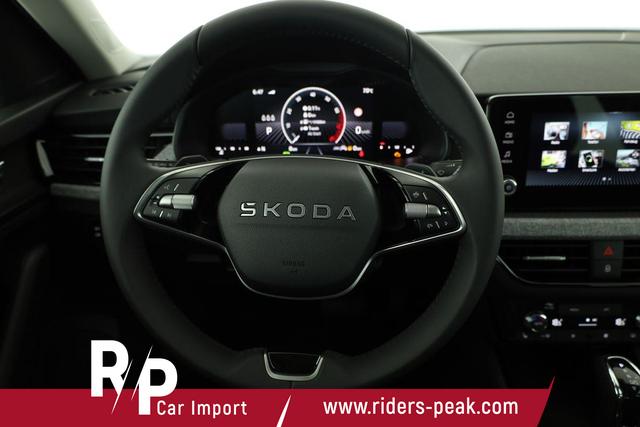 Skoda Kamiq Selection 1.0 TSI DSG Selection, AHK, Matrix, Kamera, Ladeboden, Winter 