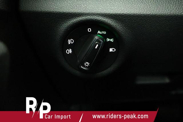 Skoda Kamiq Selection 1.0 TSI DSG Selection, AHK, Matrix, Kamera, Ladeboden, Winter 