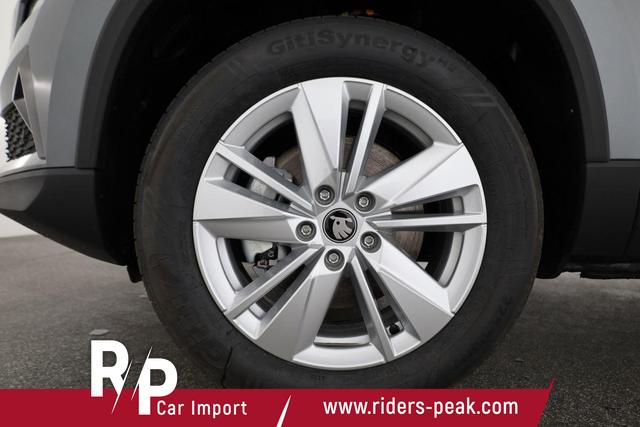 Skoda Karoq Selection 4x4 2.0 TDI DSG Selection, AHK, LED, Kamera, Winter, el. Klappe, 4 J.-Garantie 