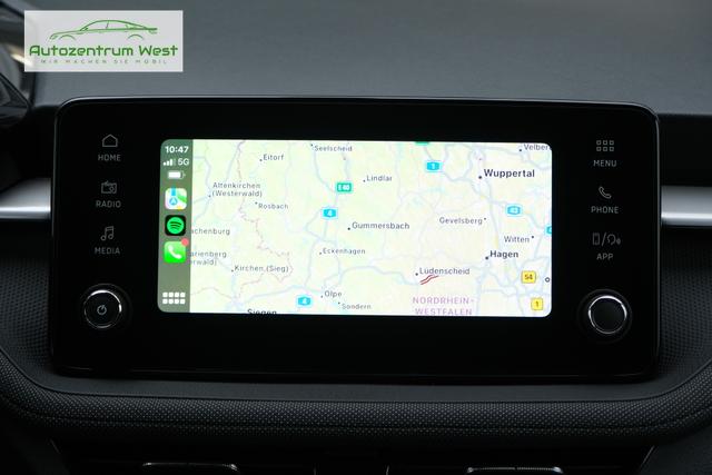 Skoda Fabia Selection Grau 