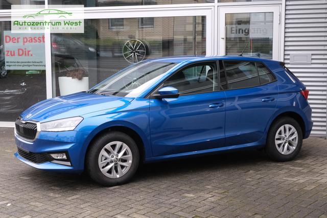 Skoda Fabia Blau 