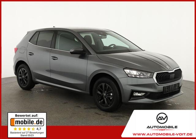 Skoda Fabia - Selection 1.0 TSI Selection, 15-Zoll schwarz, Winter, Ladeboden