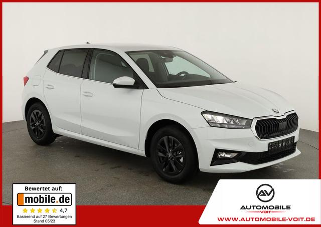 Skoda Fabia - Selection 1.0 TSI DSG Selection, 15-Zoll schwarz, Winter, Ladeboden