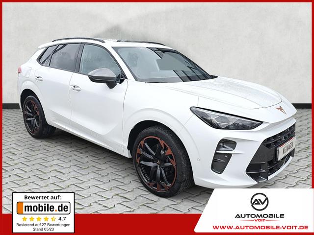 Cupra Terramar - 2.0 TSI 195 kW 4Drive VZ DSG AHK Pano Leder