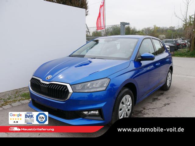 Skoda Fabia - Selection 1.0 TSI DSG*NAVI-&Uuml;BER-SMARTLINK*LED*PDC-HI*SHZ*DAB*KLIMA