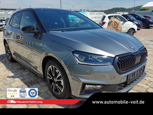 Skoda / Fabia / Grau / / / , Beispielbilder, ggf. teilweise mit Sonderausstattung