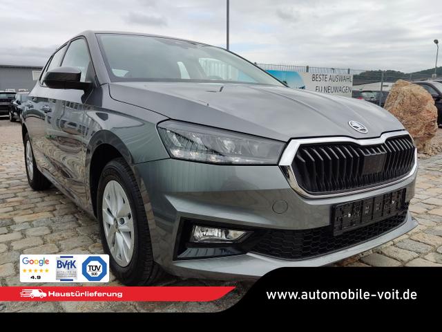 Skoda / Fabia / Grau / / / , Beispielbilder, ggf. teilweise mit Sonderausstattung