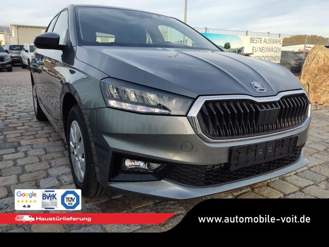 Skoda / Fabia / Grau / / / , Beispielbilder, ggf. teilweise mit Sonderausstattung