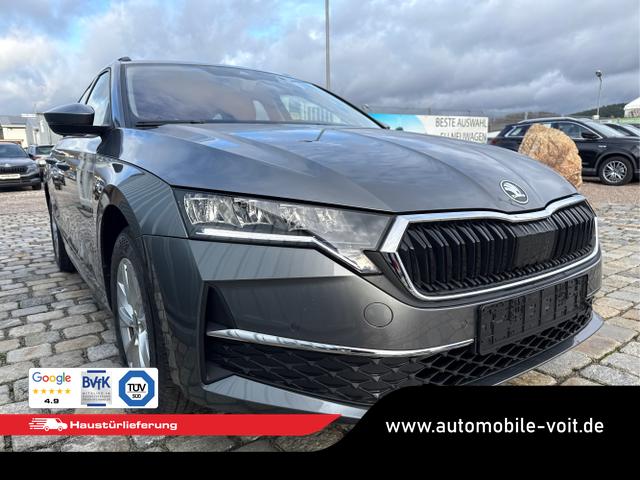 Skoda / Octavia Combi / Grau / / / , Beispielbilder, ggf. teilweise mit Sonderausstattung