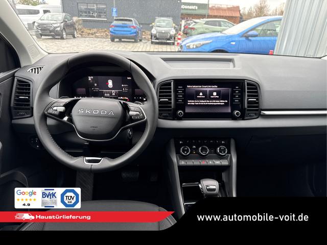 Skoda / Karoq / Grau / / / , Beispielbilder, ggf. teilweise mit Sonderausstattung