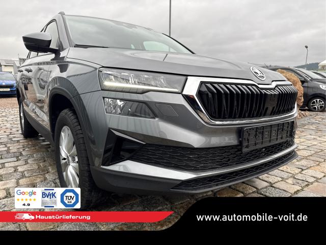 Skoda / Karoq / Grau / / / , Beispielbilder, ggf. teilweise mit Sonderausstattung