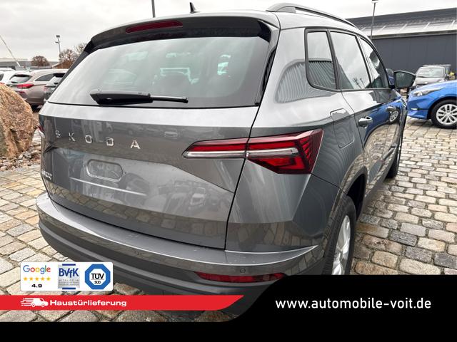 Skoda / Karoq / Grau / / / , Beispielbilder, ggf. teilweise mit Sonderausstattung