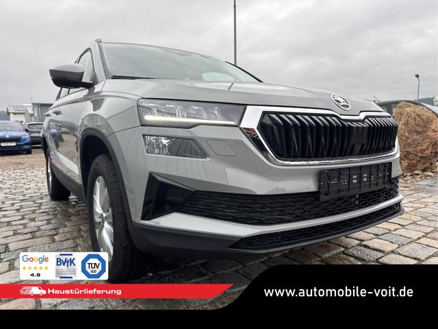 Skoda / Karoq / Grau / / / , Beispielbilder, ggf. teilweise mit Sonderausstattung