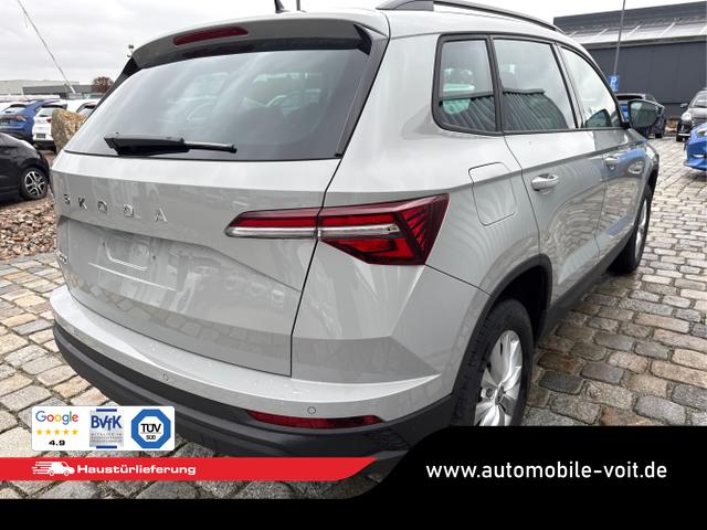 Skoda / Karoq / Grau / / / , Beispielbilder, ggf. teilweise mit Sonderausstattung