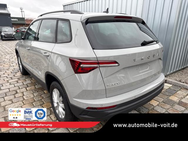 Skoda / Karoq / Grau / / / , Beispielbilder, ggf. teilweise mit Sonderausstattung