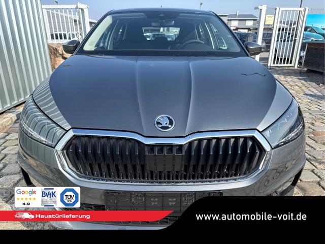 Skoda / Fabia / Grau / / / , Beispielbilder, ggf. teilweise mit Sonderausstattung