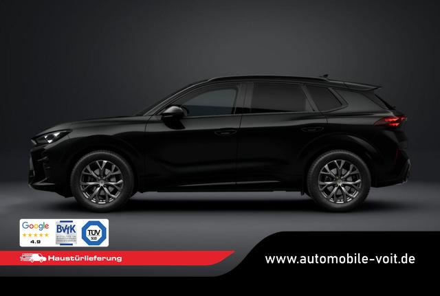 Cupra Terramar DSG EdgeP SHZ eHk Kam ACC PrivG Kessy 