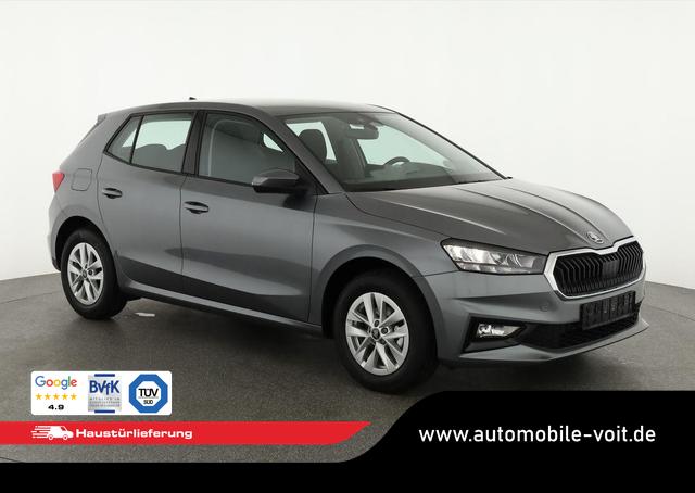 Skoda Fabia - Selection 1.0 MPI 130 Jahre, Kamera, Winter, 15-Zoll, Park