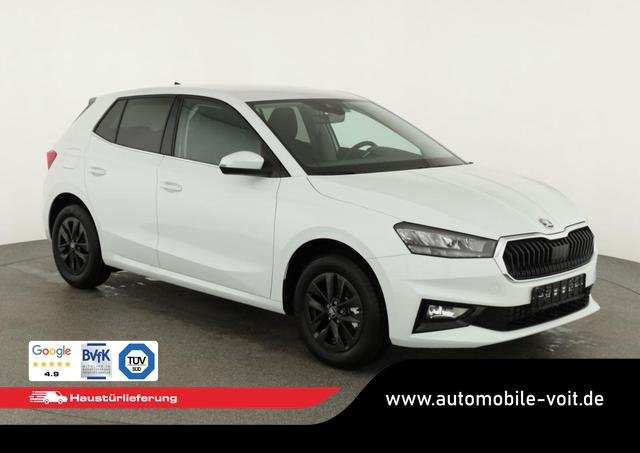 Skoda Fabia - Selection 1.0 TSI DSG Selection, 15-Zoll schwarz, Winter, Ladeboden