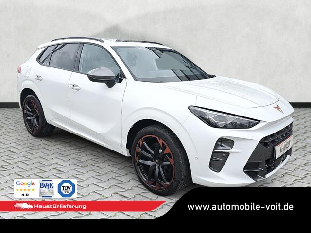 Cupra Terramar - 2.0 TSI 195 kW 4Drive VZ DSG AHK Leder Standh.