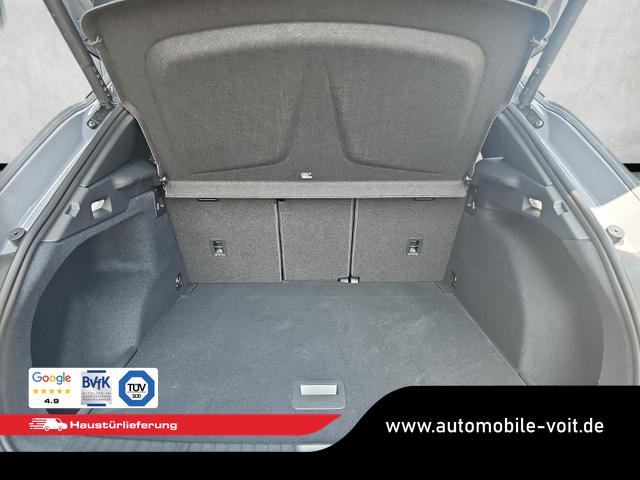 Cupra Terramar 2.0 TSI 195 kW 4Drive VZ DSG Matrix Pano Leder 