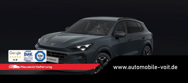 Cupra Terramar - VZ 2.0 TSI