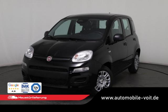 Fiat Panda - Pandina Icon (Pandina Icon) 1.0 Mild-Hybrid (65PS) 6-Gang Schaltgetriebe