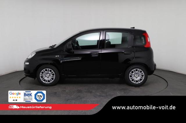 Fiat Panda Pandina Icon (Pandina Icon) 1.0 Mild-Hybrid (65PS) 6-Gang Schaltgetriebe 