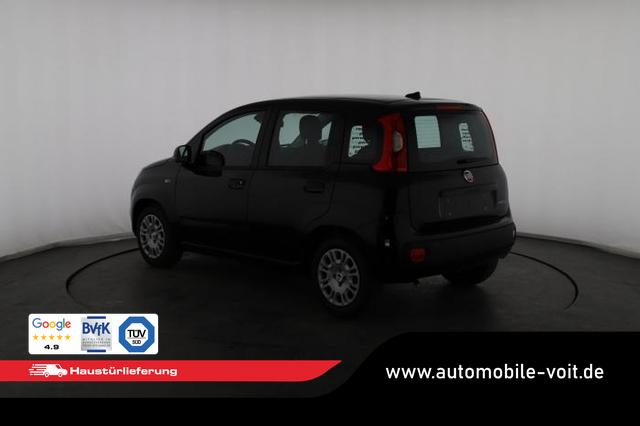 Fiat Panda Pandina Icon (Pandina Icon) 1.0 Mild-Hybrid (65PS) 6-Gang Schaltgetriebe 