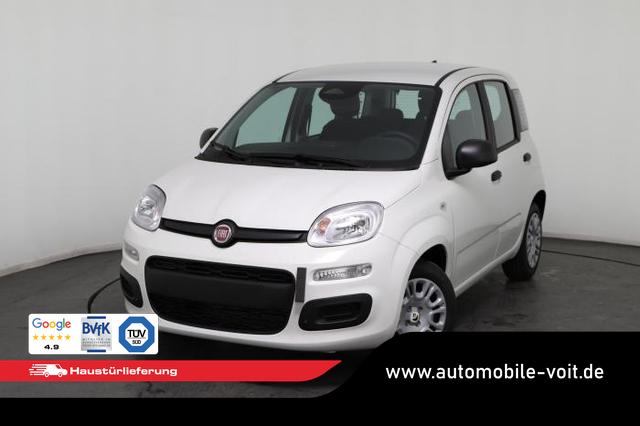 Fiat Panda - Pandina Icon (Pandina Icon) 1.0 Mild-Hybrid (65PS) 6-Gang Schaltgetriebe