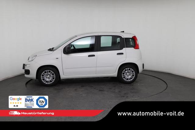 Fiat Panda Pandina Icon (Pandina Icon) 1.0 Mild-Hybrid (65PS) 6-Gang Schaltgetriebe 
