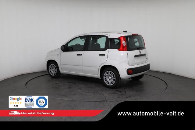 Fiat Panda Pandina Icon (Pandina Icon) 1.0 Mild-Hybrid (65PS) 6-Gang Schaltgetriebe 