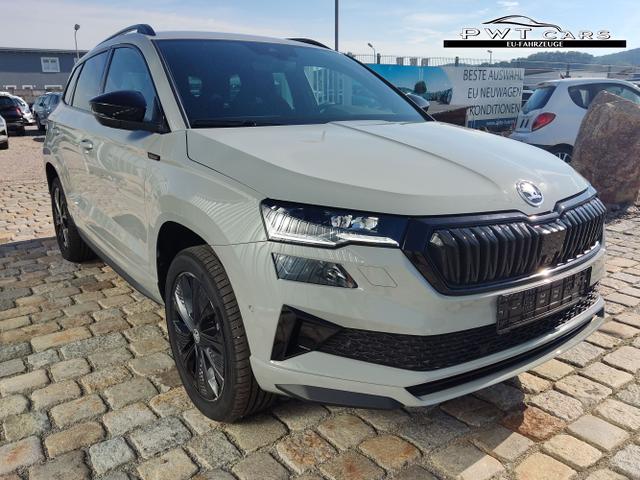 Skoda / Karoq / Grau / / / , Beispielbilder, ggf. teilweise mit Sonderausstattung