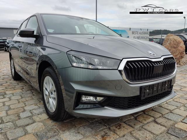 Skoda / Fabia / Grau / / / , Beispielbilder, ggf. teilweise mit Sonderausstattung