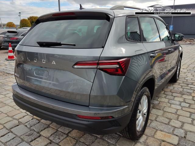 Skoda / Karoq / Grau / / / , Beispielbilder, ggf. teilweise mit Sonderausstattung