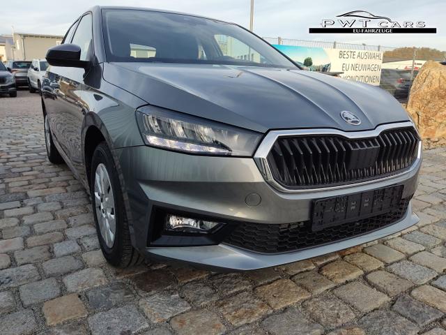 Skoda / Fabia / Grau / / / , Beispielbilder, ggf. teilweise mit Sonderausstattung