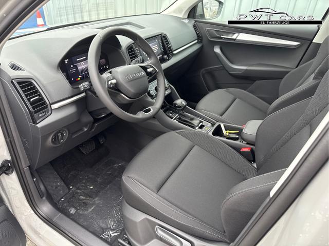 Skoda / Karoq / Grau / / / , Beispielbilder, ggf. teilweise mit Sonderausstattung