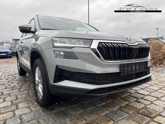 Skoda / Karoq / Grau / / / , Beispielbilder, ggf. teilweise mit Sonderausstattung