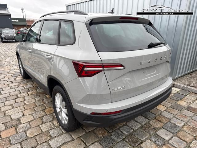 Skoda / Karoq / Grau / / / , Beispielbilder, ggf. teilweise mit Sonderausstattung