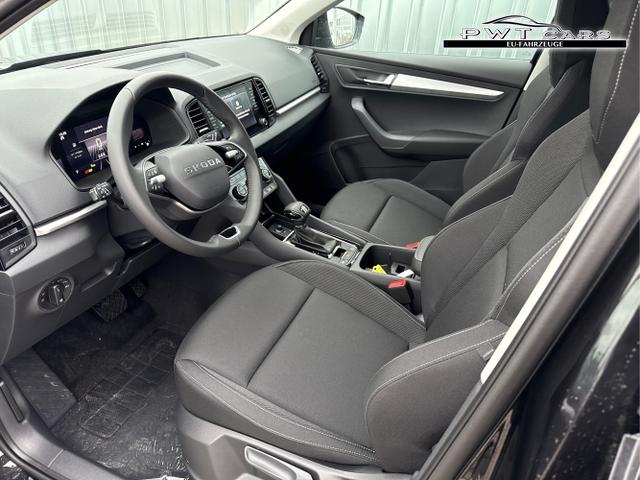 Skoda / Karoq / Schwarz / / / , Beispielbilder, ggf. teilweise mit Sonderausstattung