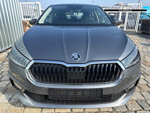 Skoda / Fabia / Grau / / / , Beispielbilder, ggf. teilweise mit Sonderausstattung