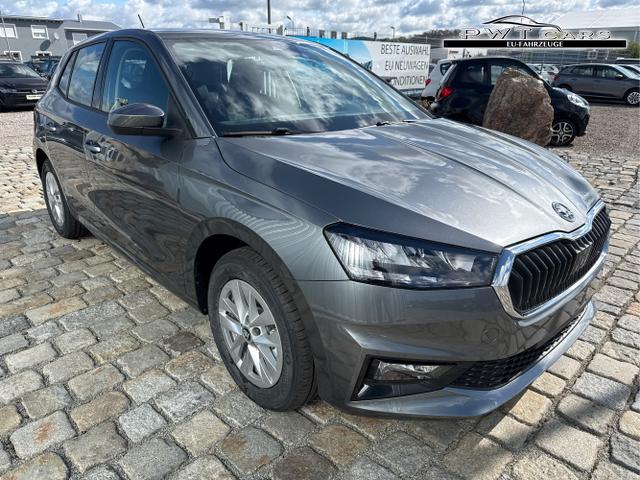 Skoda / Fabia / Grau / / / , Beispielbilder, ggf. teilweise mit Sonderausstattung