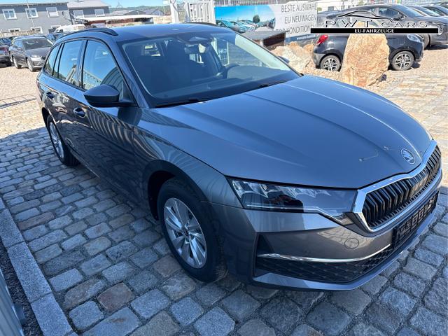 Skoda / Octavia Combi / Grau / / / , Beispielbilder, ggf. teilweise mit Sonderausstattung